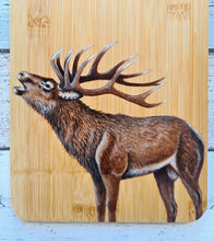 Bamboo Cheese Board - Wapiti